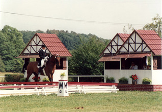 KSIAZ 1990 Mistrovství EVROPY - Toník Kadlec s koněm Wikow